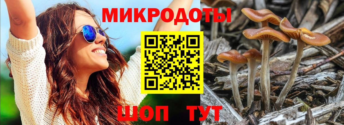 Псилоцибиновые грибы Magic Shrooms Рославль